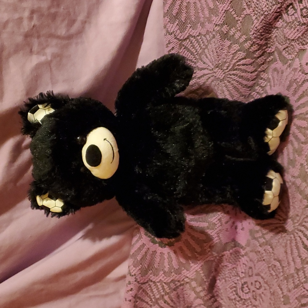 🌞 BABW black soccer bear